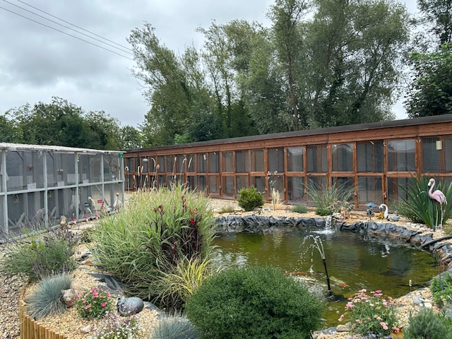 The garden and pond